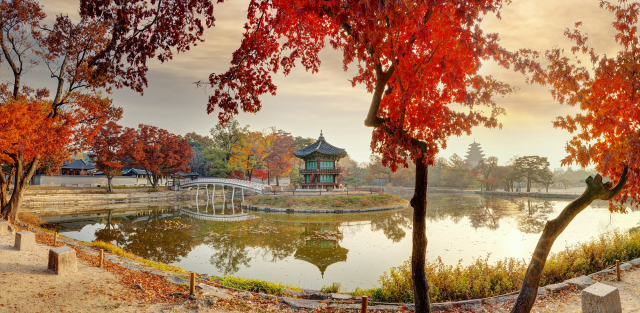 경복궁 향원정 전경. 사진 제공=국가유산청