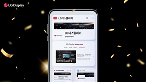 LG디스플레이, ‘대한민국 SNS 대상’ IT 제조 대상