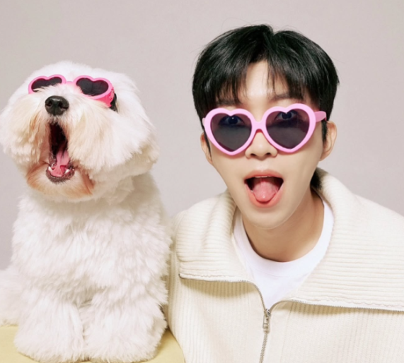 임영웅 사회관계망서비스(SNS)