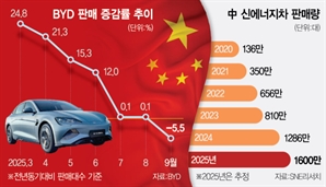 시진핑 '출혈경쟁' 경고하자 비야디 판매 확 줄었다
