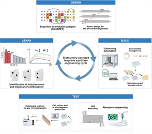 K바이오파운드리 기술로 온실가스 자원화 가능성 확인