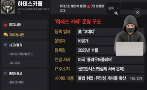 [단독] 美 서버 뒤 숨은 캄보디아 유입 통로…청년 노린 '하데스 카페'