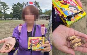 "한국인들이 사슴 괴롭혀"…日 시의원 아내, '초코송이' 사진 올렸다 역풍 맞은 이유가