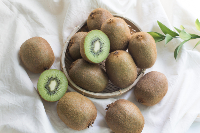 클립아트코리아