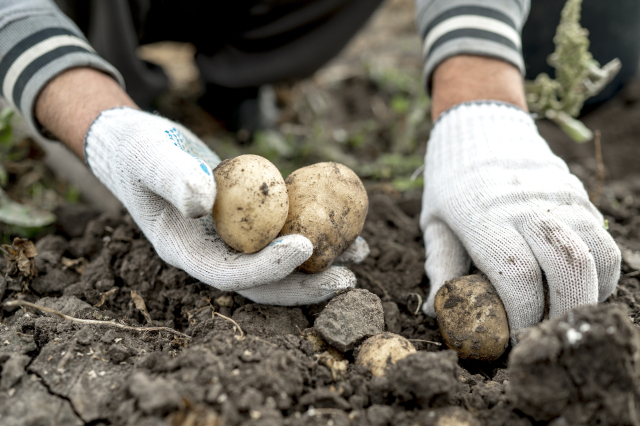 기사 이해를 돕기 위한 사진. 클립아트코리아