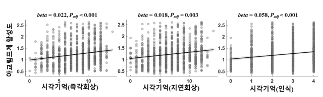 아교림프계 활성도와 시각기억력의 관계. 사진 제공=분당서울대병원