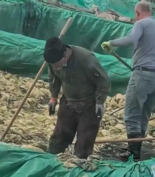 침을 뱉는 쏸차이 공장 근로자. SNS 캡쳐=연합뉴스TV