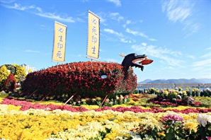 17만본 국화 향기에 창원이 물든다…마산가고파국화축제 11월 1일 개막