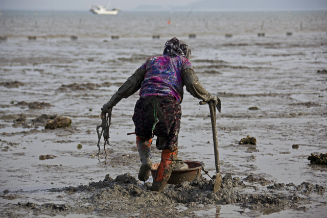 기사 이해를 돕기 위한 사진. 클립아트코리아