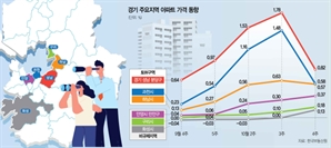 3중 규제에 한 풀 꺽인 서울…비규제 지역인 동탄·구리 등 풍선효과 조짐도