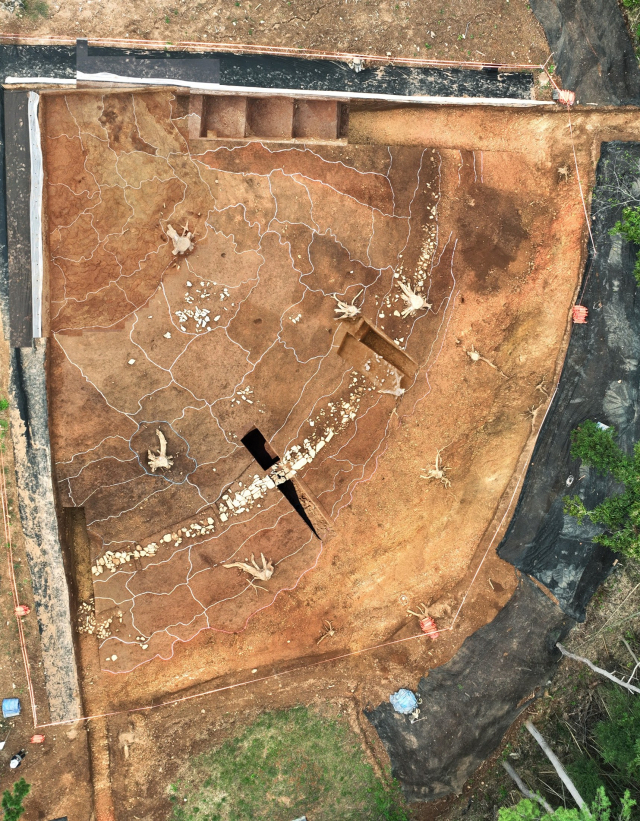 경남 고성군 고성읍 송학동 고분군 전경. 사진 제공=경남도