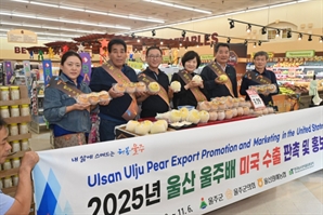 울주군, LA·하와이서 울주배 판촉…170만 달러 수출 성과