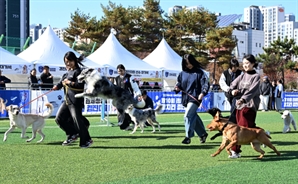 킁킁히어로! 최고의 탐지견을 찾아라~