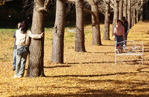 [오늘의 날씨] 맑은 가을 하늘…저녁엔 짙은 안개도