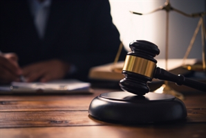 12살 연하 남편 흉기로 2차례 찌른 중국인 아내…'집행유예', 왜?