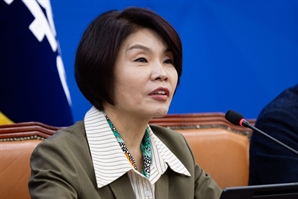 與, '배임죄 폐지' 내년으로…"연구용역 거쳐 대체입법 마련"