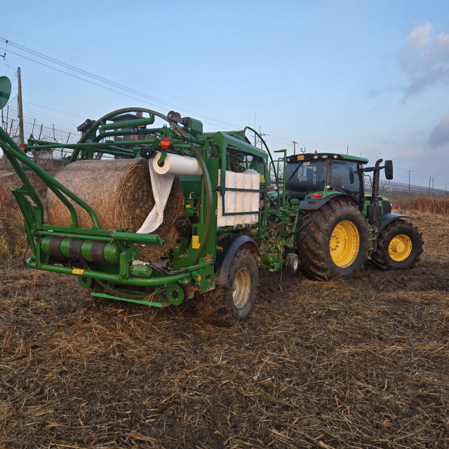 한강하구 자생 갈대 수거 모습. 사진 제공=경기도