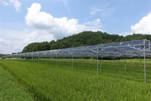  태양광 이격규제 합리화, 난개발·비리 등 부작용 경계해야