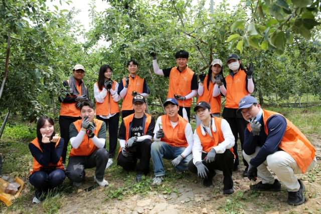 경기 연천 사과농가에서 한화 임직원들이 봉사활동에 나선 모습. 사진 제공=한화