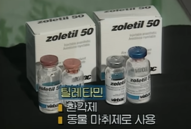 '주삿바늘 28곳·동물 마취제 검출'…듀스 故김성재 사망 30년, 그날의 진실은 [오늘의 그날]