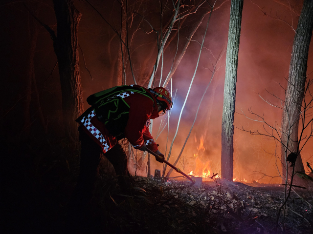 23일 진화대원들이 밤새 진화작업을 하고 있다. 사진 제공=산림청