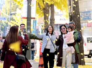 명동·테헤란로 등 68개 지역 호텔 용적률 1040%까지 늘어난다