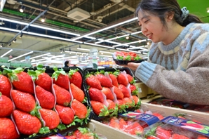 농협 하나로마트에서 '킹스베리' 만나세요