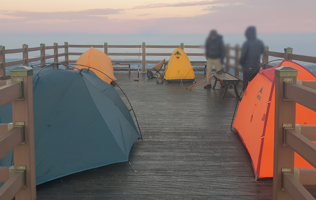 '제주자치도에 바란다' 게시판에 올라온 노꼬메오름 캠핑 사진. 제주도청 게시판 갈무리