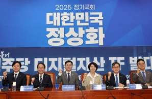 당정, 스테이블코인 차등 규제로 한은 달랜다