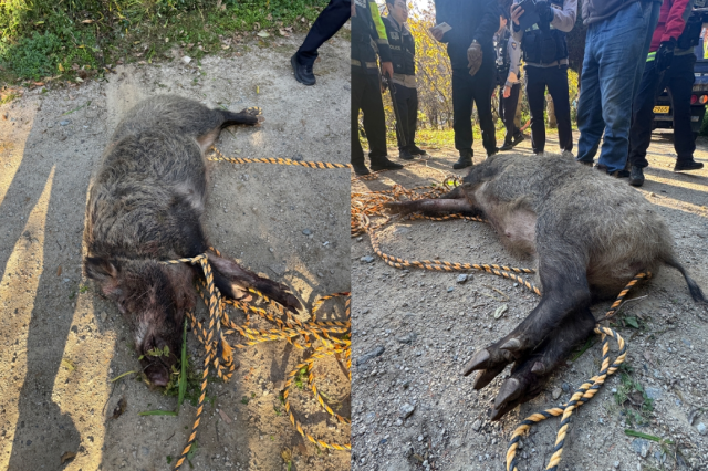 사진 제공= 부산소방재난본부