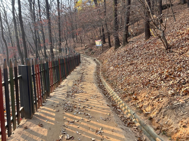 대전시가 보문산에 새롭게 조성한 ‘걷고 싶은 맨발길’. 사진제공=대전시