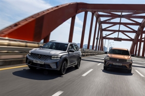 내수·수출 동반하락…르노코리아, 11월 전년比 69.4% 줄어