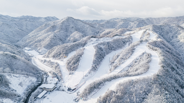 엘리시안 강촌 스키장 전경.