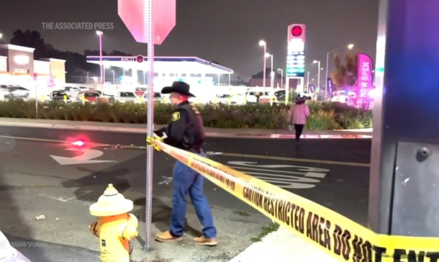 미국 캘리포니아주에서 총격 사건이 발생해 어린이 3명을 포함한 4명이 숨지고 11명이 다쳤다. AP연합뉴스