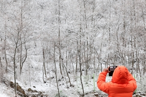 내일부터 영하권 강추위 시작…서울엔 4일 '첫눈 소식'