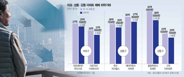 '올파포' 4억 빠졌다…마·성·강, 갭투자 막히니 집값 '뚝'