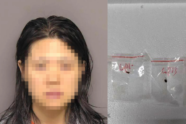 미국으로 곰팡이 반입하다 '딱' 걸린 中연구원…일부 전문가, ''밀수'는 정치적 과장'