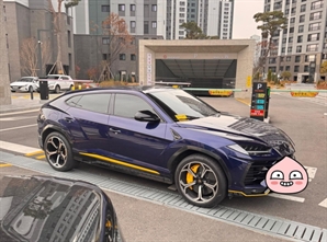 입구에 람보르기니 '떡하니'…아파트 주차장 '길막'한 20대 차주 결국