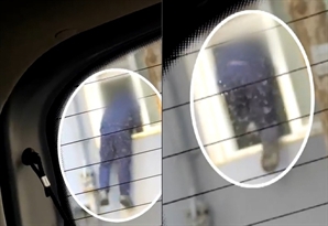 대낮에 가스 배관 타고 침입한 '간 큰' 도둑…소방관 눈에 딱 걸렸다