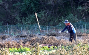 농어촌 기본소득 3개군 늘어…10개군서 시행