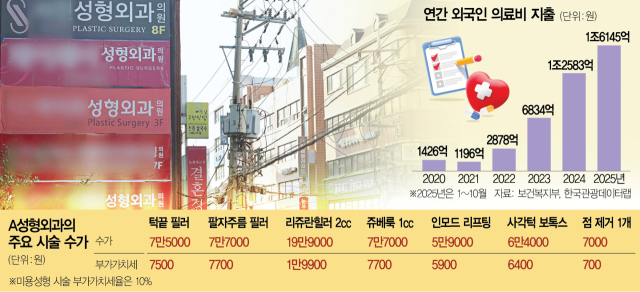 "日환자 반토막 날 판"…가성비 하락에 K의료관광 '발 동동'