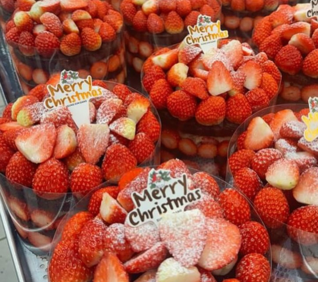 호텔 케이크 50만원 찍을 때…가격 동결한 성심당 '딸기시루' 돌아온다