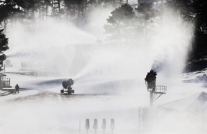 "퇴근 길 첫 눈 주의보"…서울시, 강설 대응 비상근무