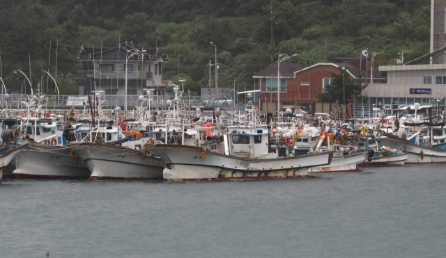울산 북구 정자항에 정박 중인 어선. 사진제공=울산시