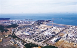 [단독] '병자'전락 獨…"韓도 반도체 호황때 체질개선 메스 들어야" [Pick코노미]