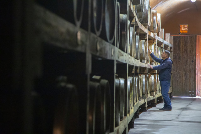 파주 산머루농원. 사진 제공 = 경기관광공사