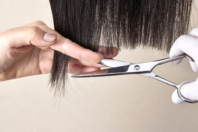 클립아트코리아