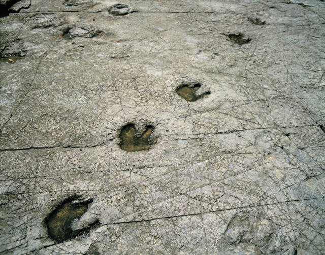 해당 기사와 무관. 클립아트코리아