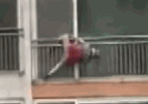 JTBC ‘사건반장’ 보도화면