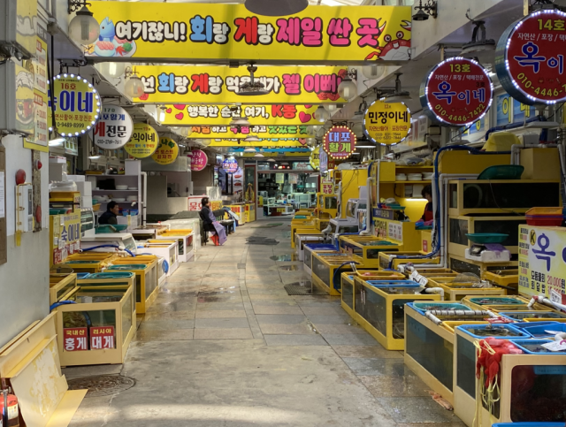 대포항 수산시장, 독자제공